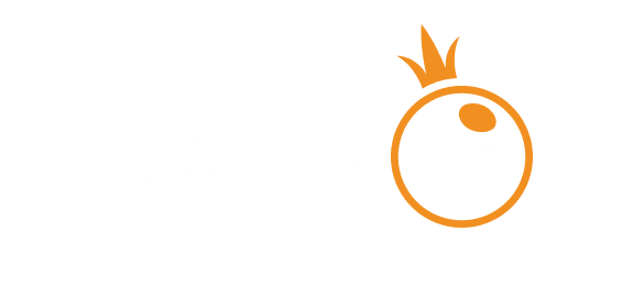 ویزہ logo